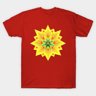 Coloured Star 1 T-Shirt